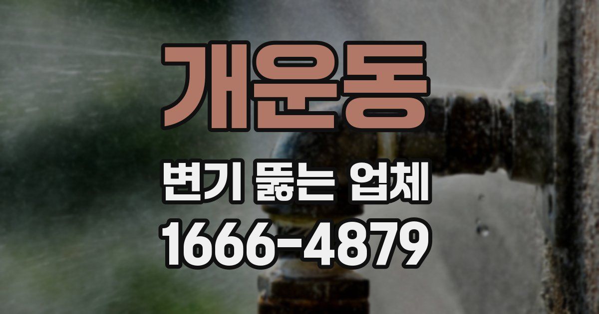 개운동 변기 뚫는 업체