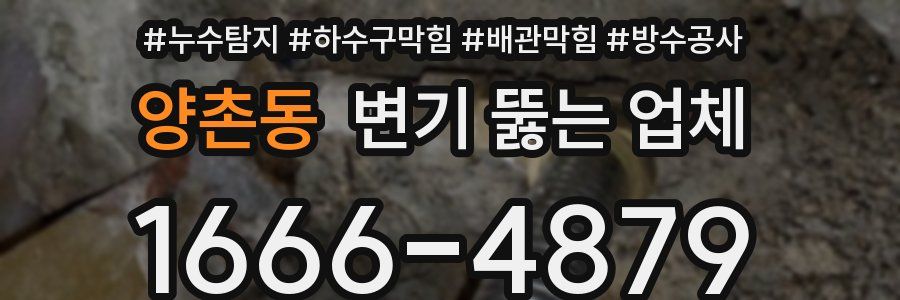 양촌동 변기 뚫는 업체