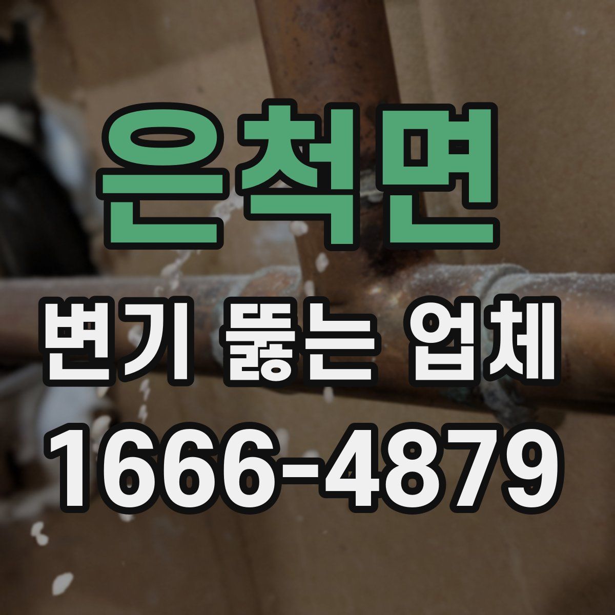은척면 변기 뚫는 업체