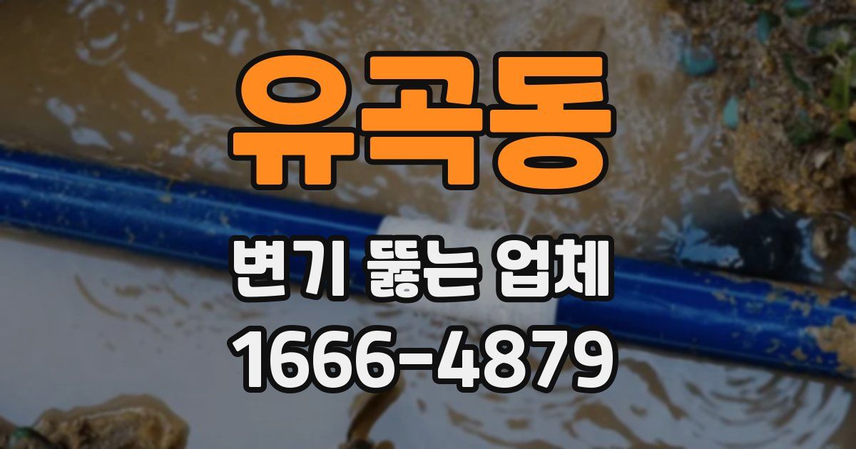유곡동 변기 뚫는 업체