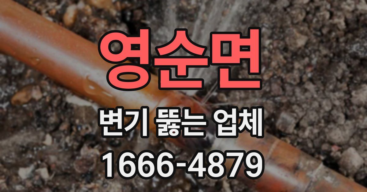 영순면 변기 뚫는 업체