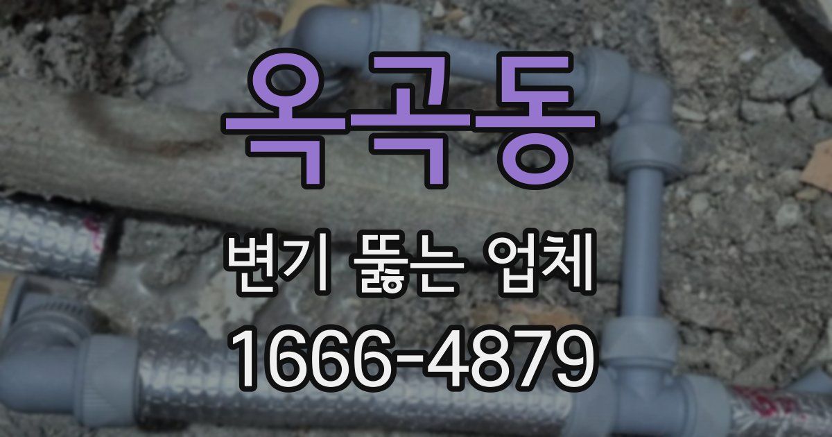 옥곡동 변기 뚫는 업체