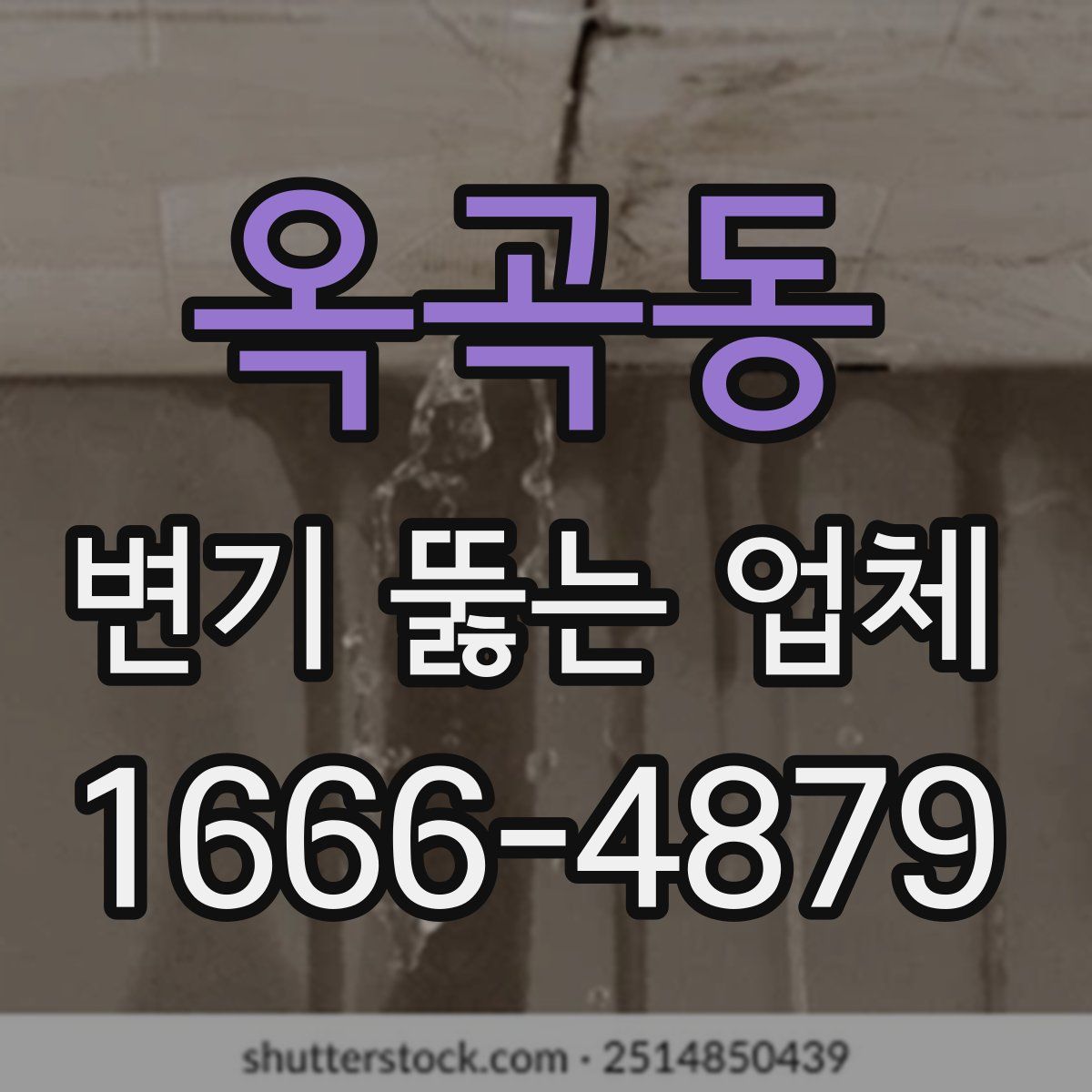 옥곡동 변기 뚫는 업체