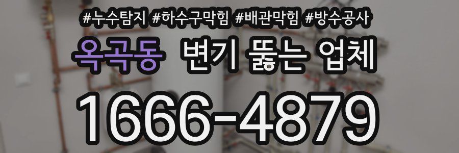 옥곡동 변기 뚫는 업체