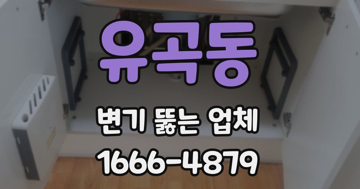 유곡동 변기 뚫는 업체