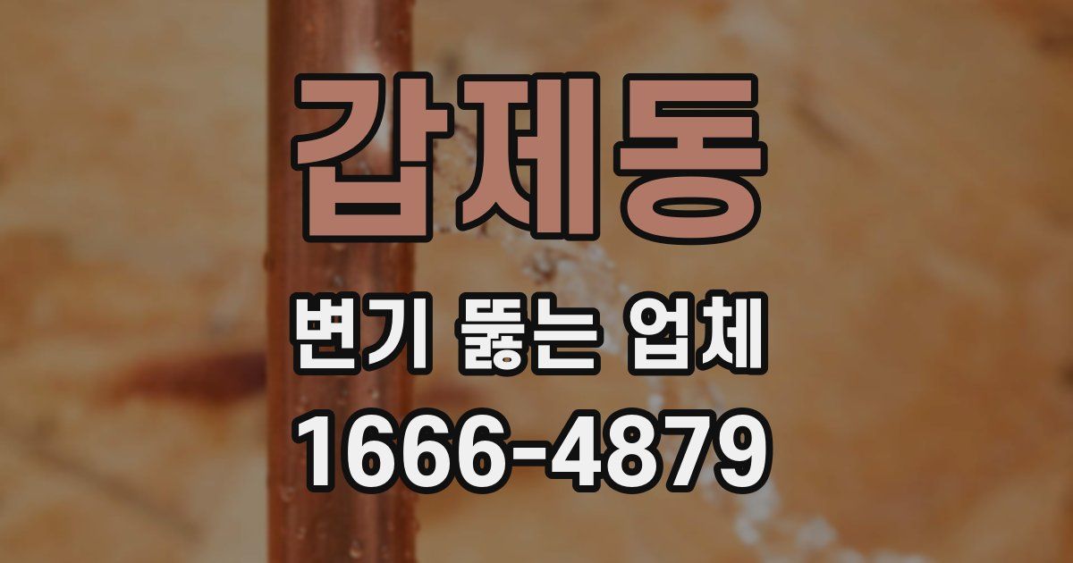 갑제동 변기 뚫는 업체
