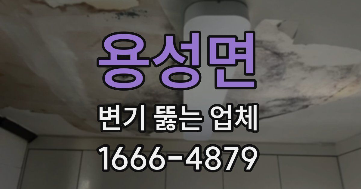 용성면 변기 뚫는 업체