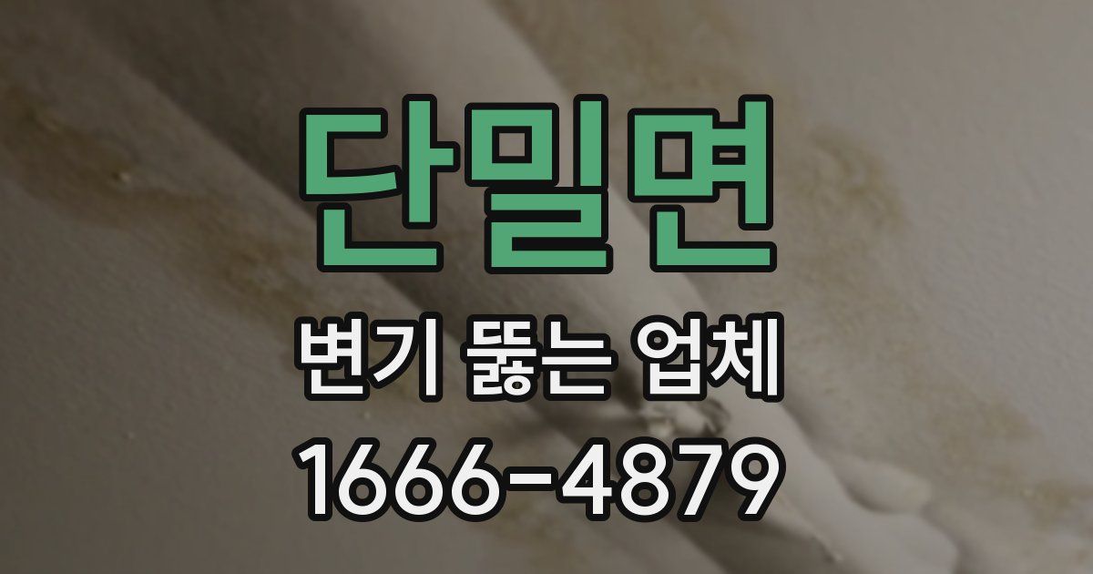 단밀면 변기 뚫는 업체