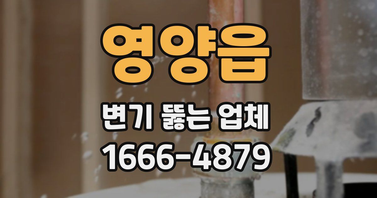 영양읍 변기 뚫는 업체