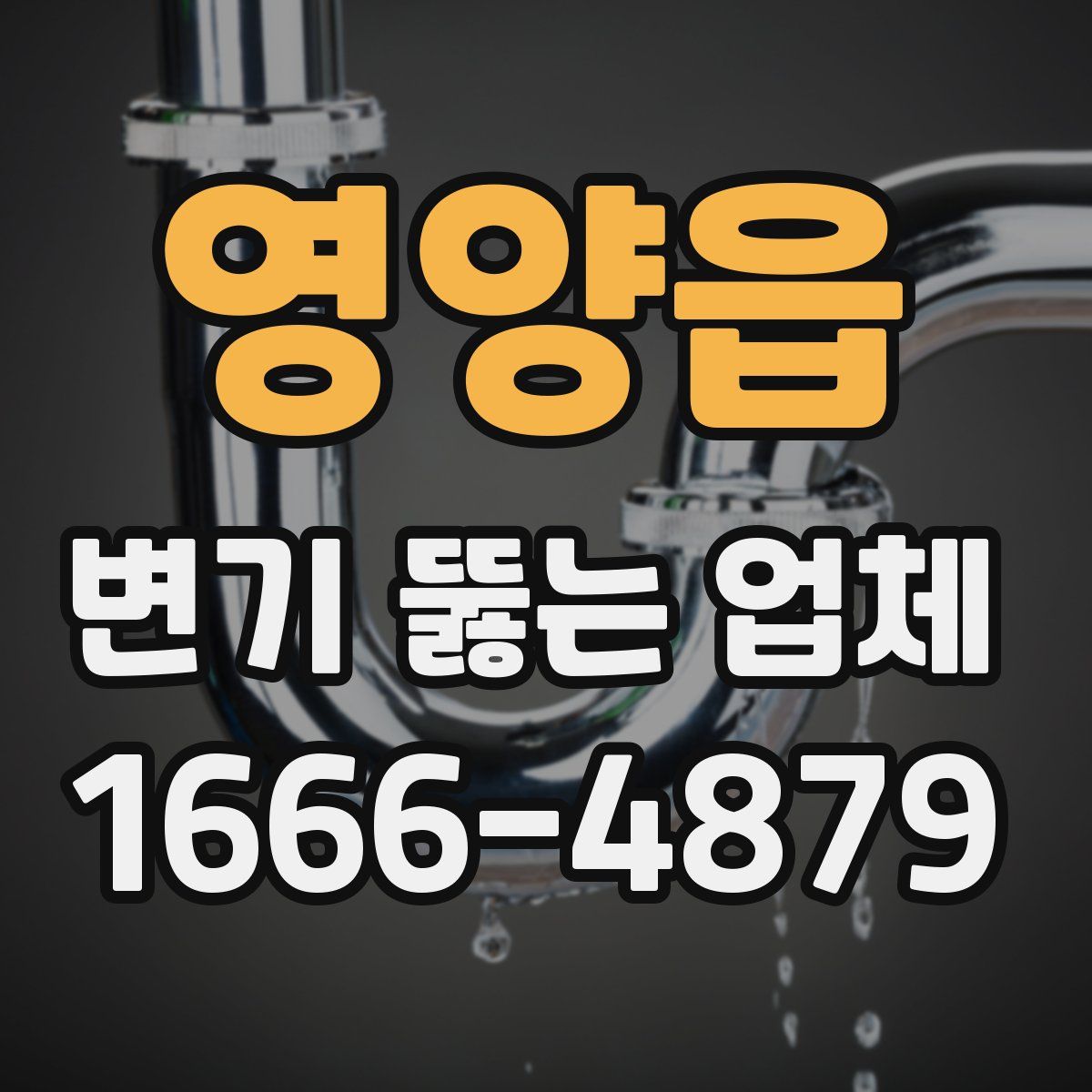 영양읍 변기 뚫는 업체
