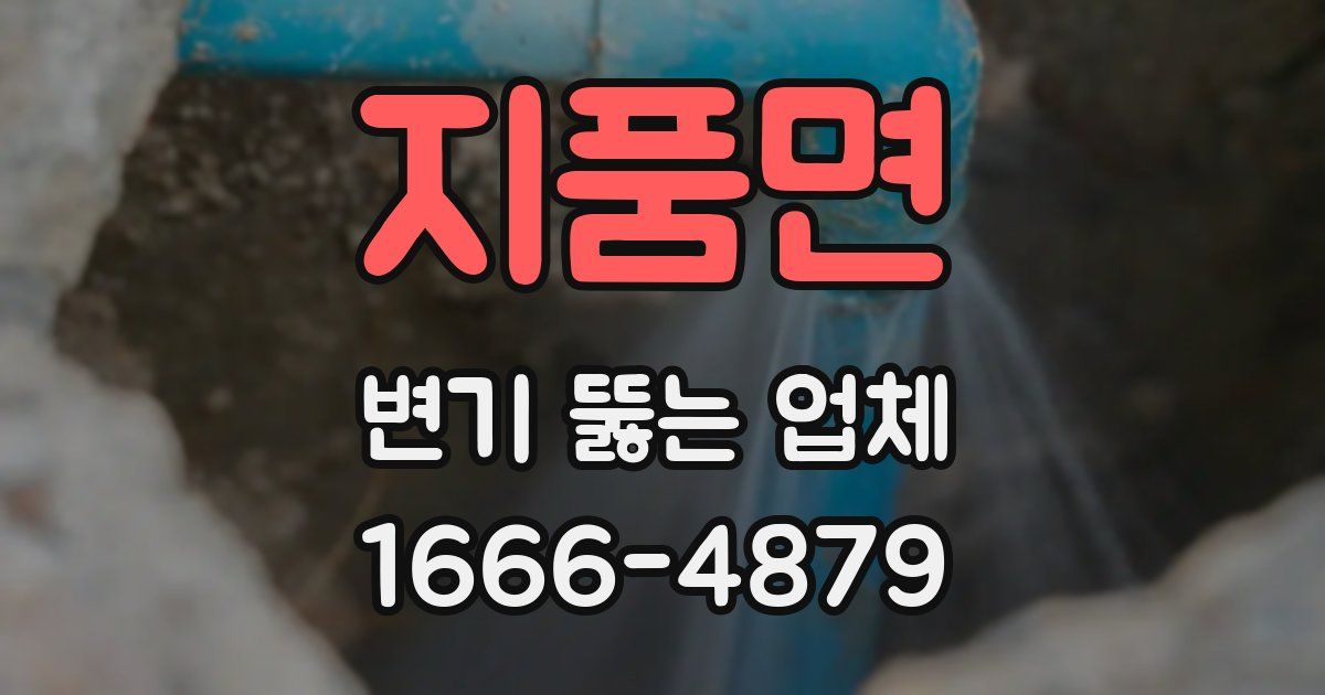 지품면 변기 뚫는 업체