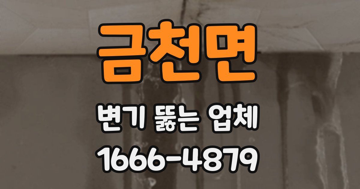 금천면 변기 뚫는 업체