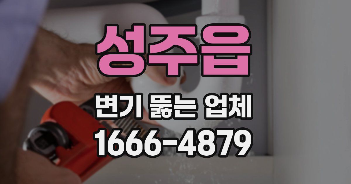 성주읍 변기 뚫는 업체