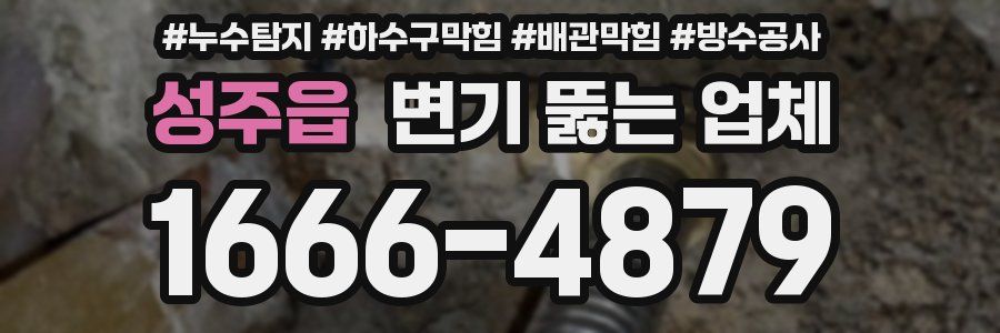 성주읍 변기 뚫는 업체