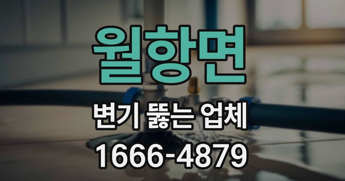 월항면 변기 뚫는 업체