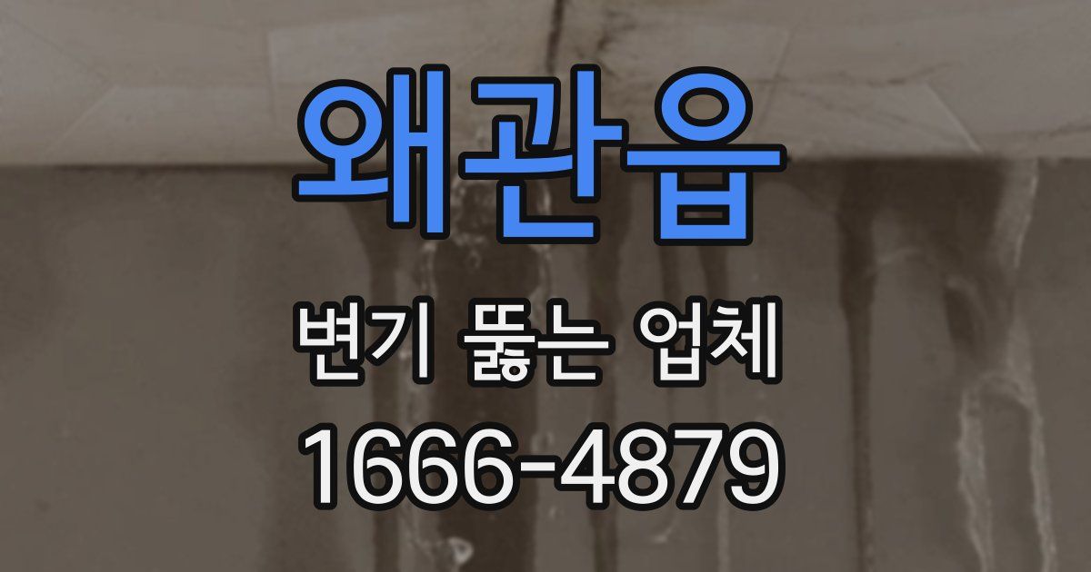 왜관읍 변기 뚫는 업체