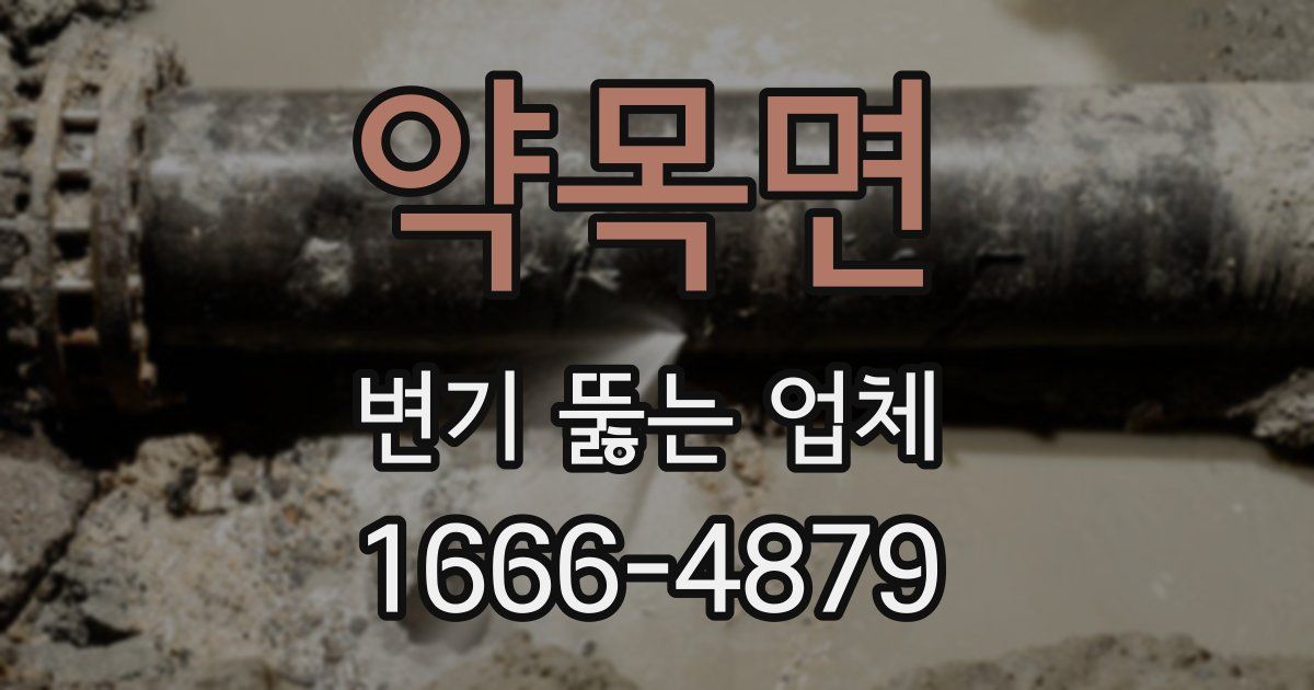 약목면 변기 뚫는 업체