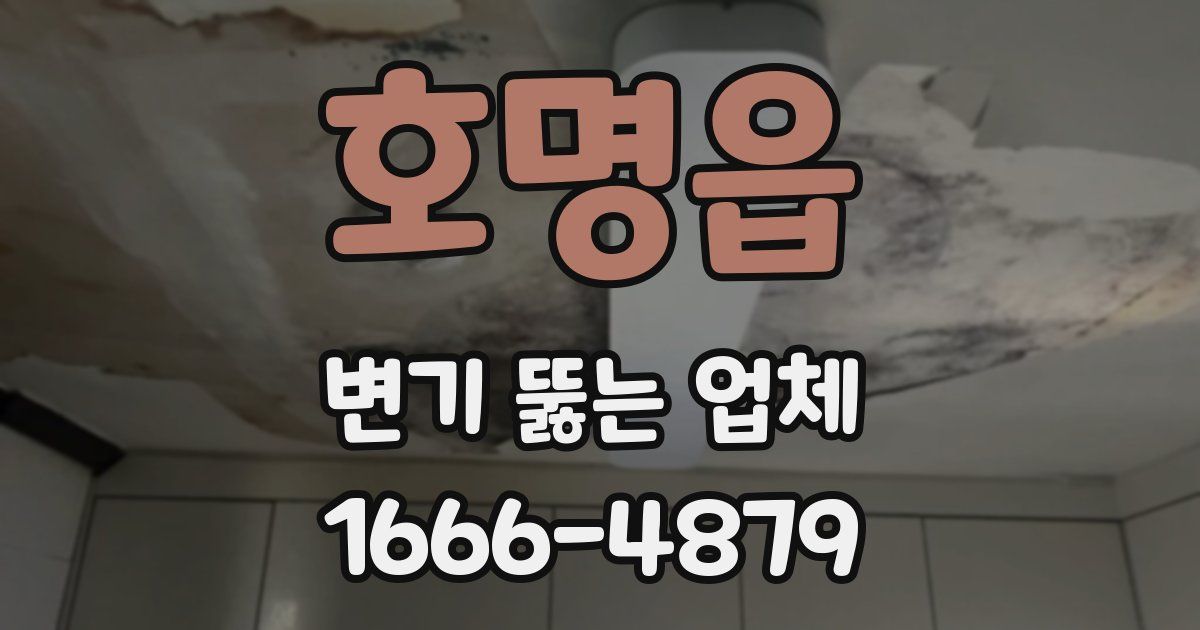 호명읍 변기 뚫는 업체