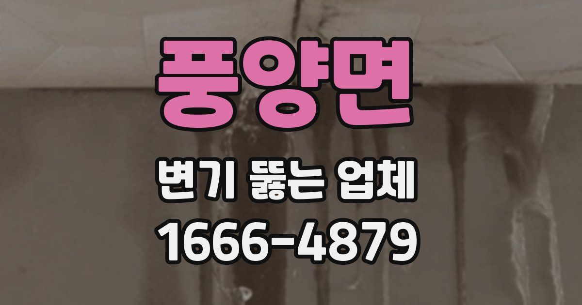 풍양면 변기 뚫는 업체