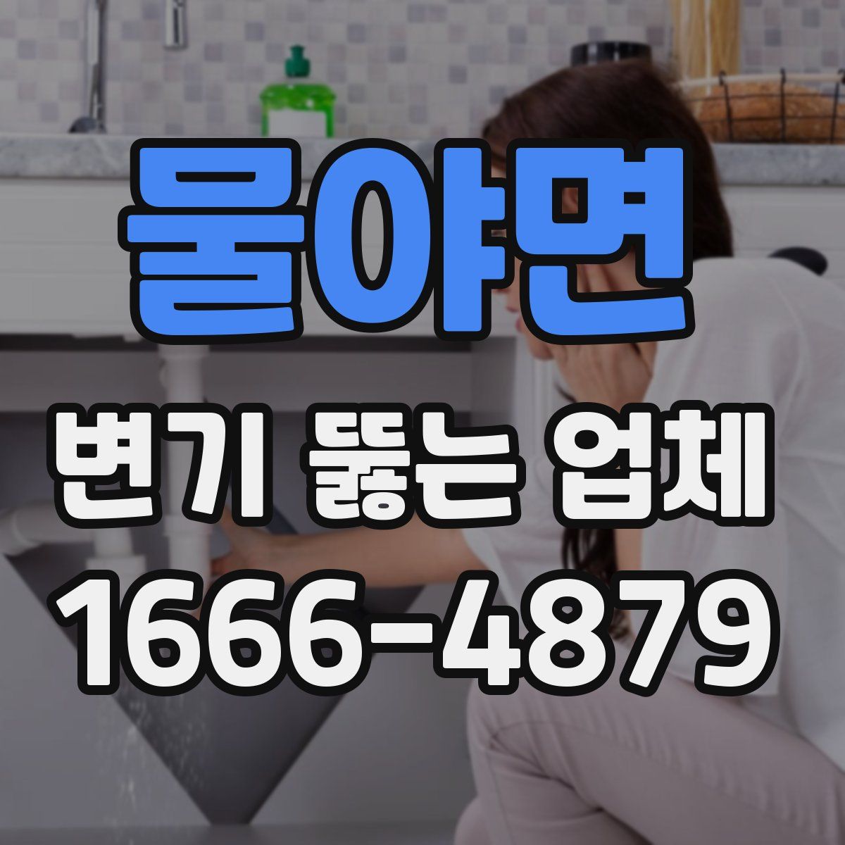 물야면 변기 뚫는 업체