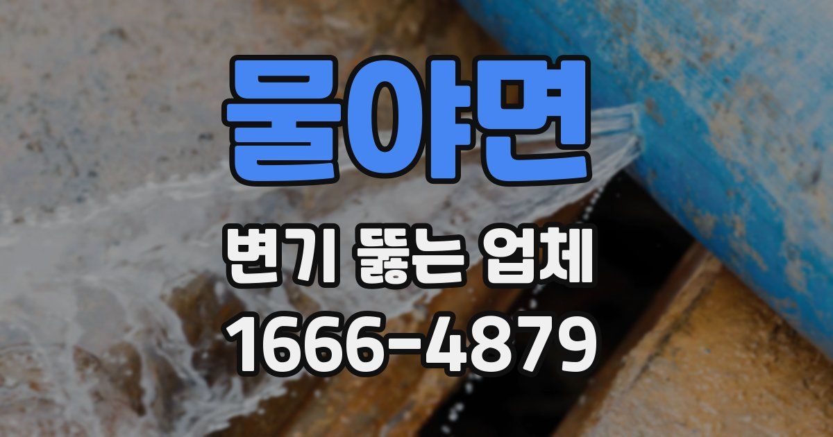 물야면 변기 뚫는 업체
