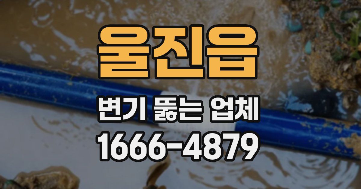 울진읍 변기 뚫는 업체