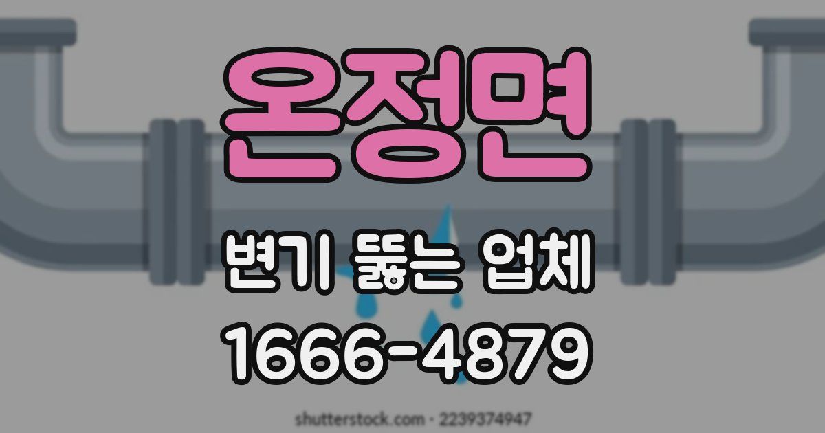온정면 변기 뚫는 업체