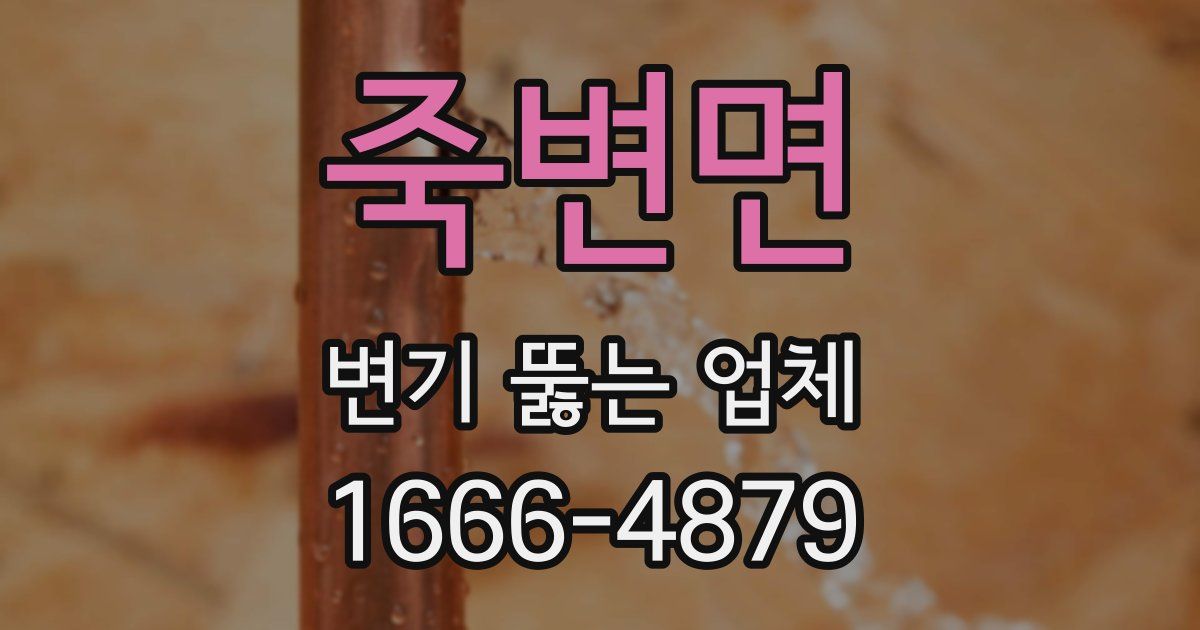 죽변면 변기 뚫는 업체