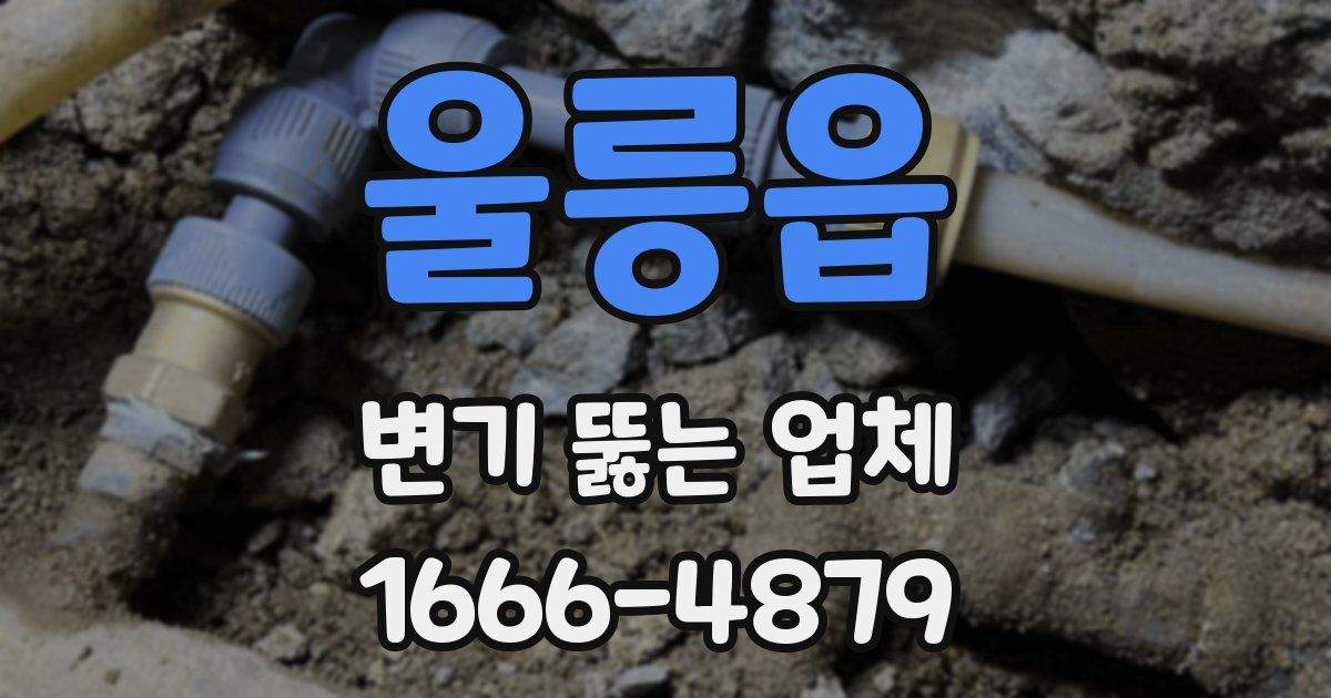 울릉읍 변기 뚫는 업체
