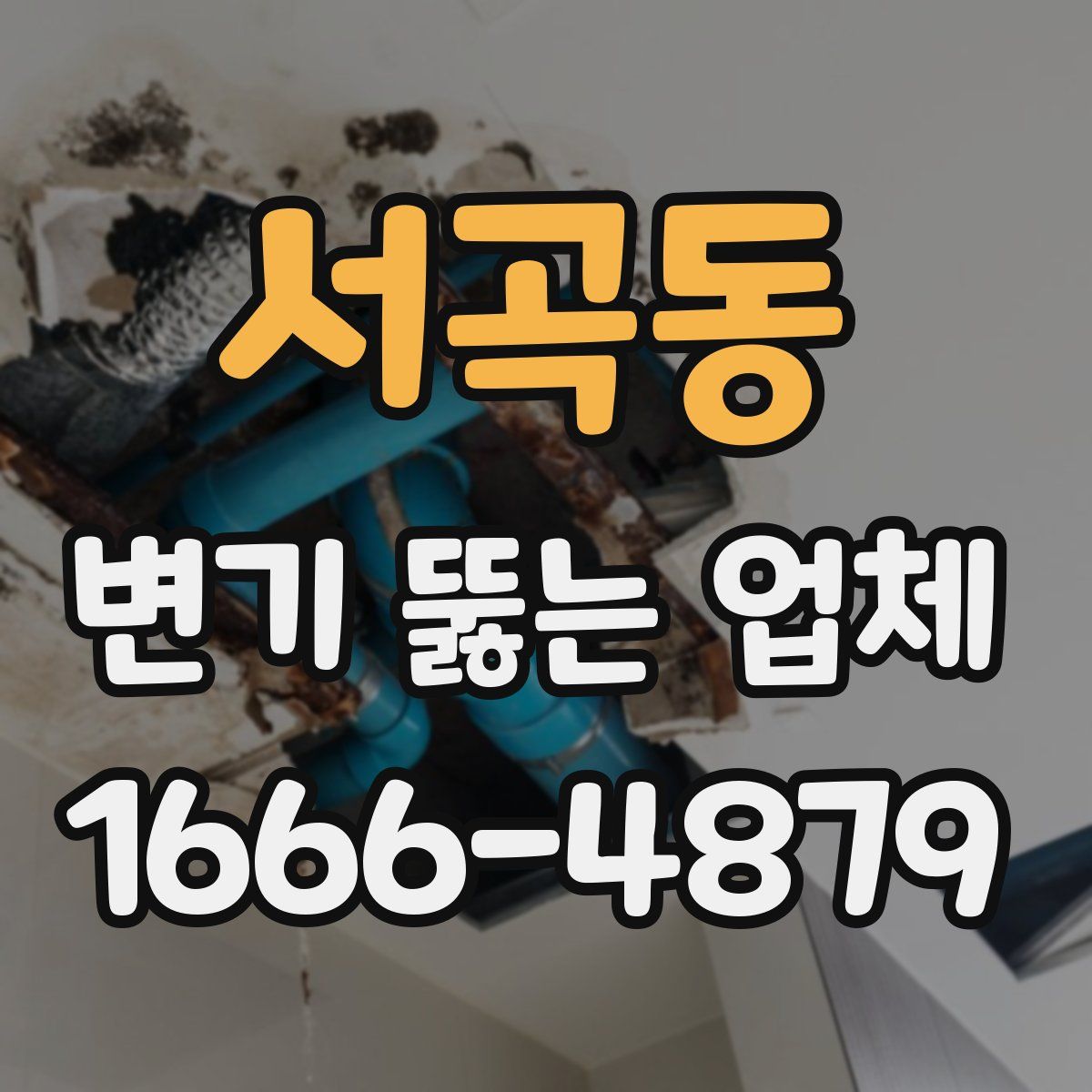 서곡동 변기 뚫는 업체