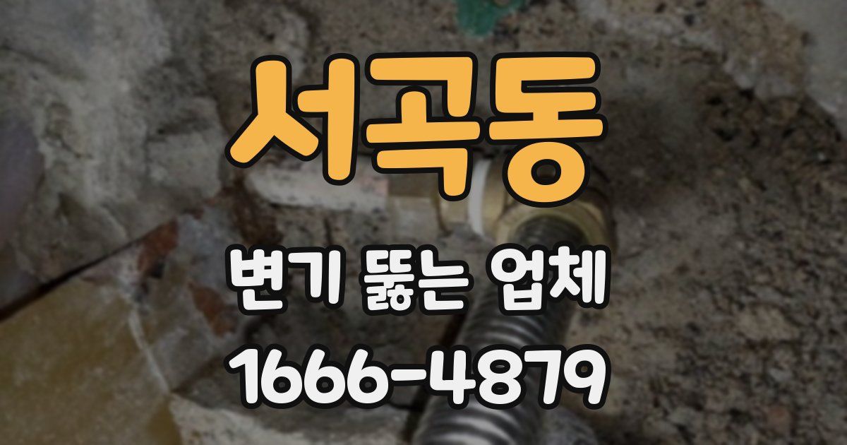 서곡동 변기 뚫는 업체