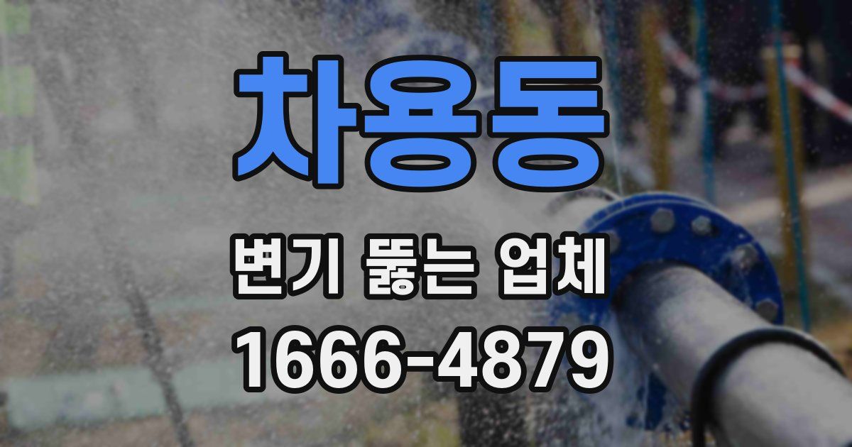 차용동 변기 뚫는 업체