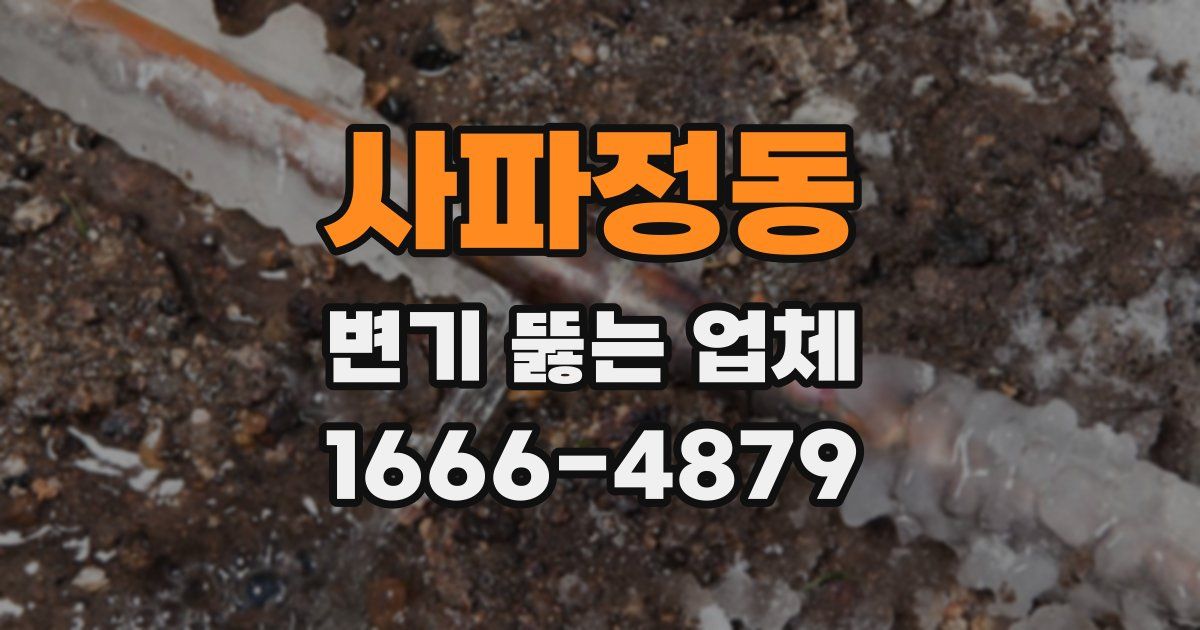 사파정동 변기 뚫는 업체