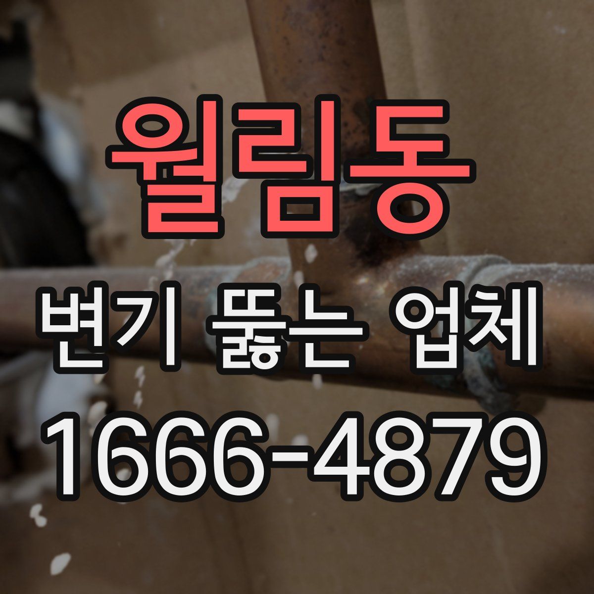 월림동 변기 뚫는 업체