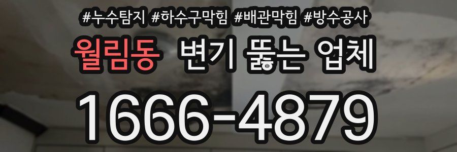 월림동 변기 뚫는 업체