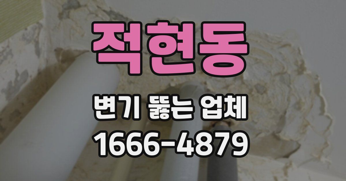 적현동 변기 뚫는 업체
