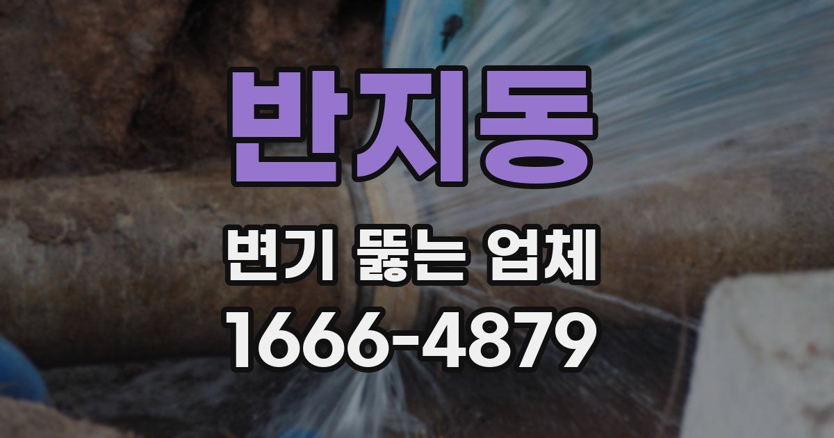 반지동 변기 뚫는 업체