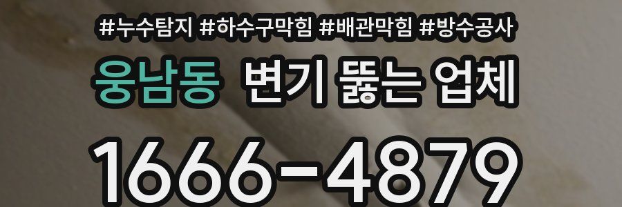 웅남동 변기 뚫는 업체