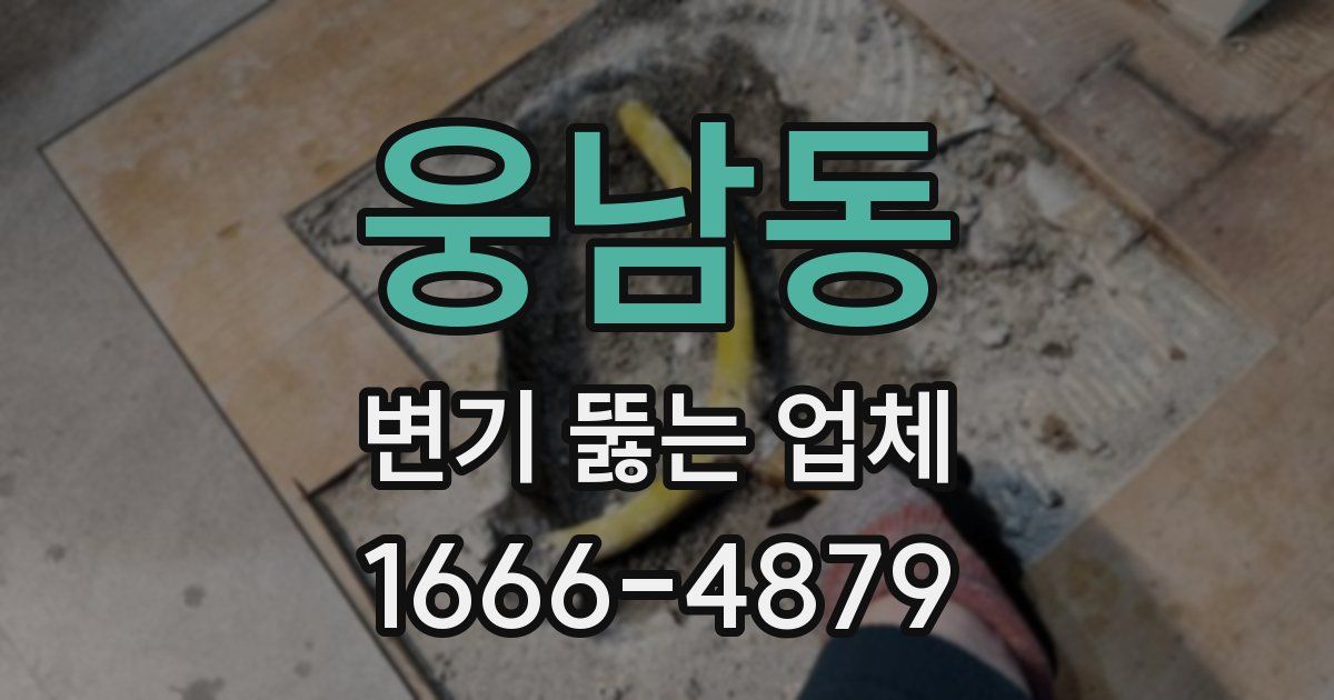 웅남동 변기 뚫는 업체
