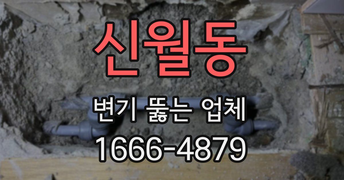 신월동 변기 뚫는 업체