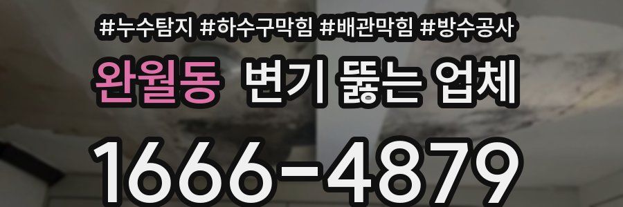 완월동 변기 뚫는 업체