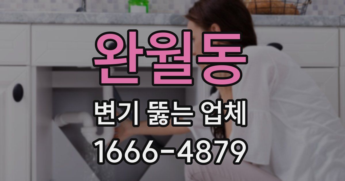 완월동 변기 뚫는 업체