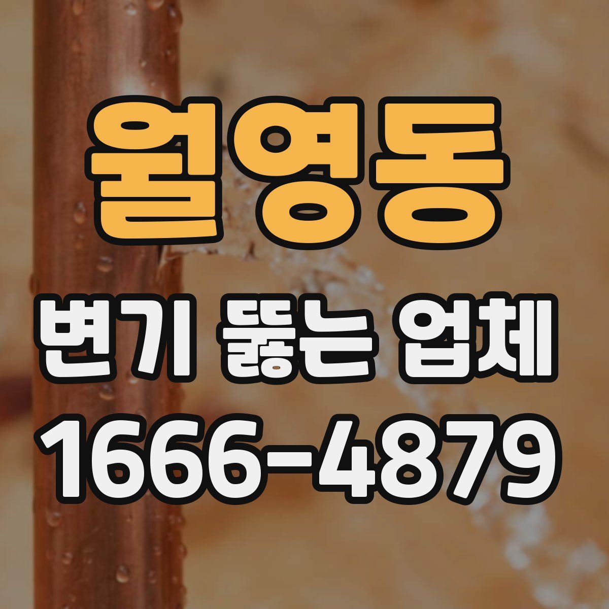 월영동 변기 뚫는 업체
