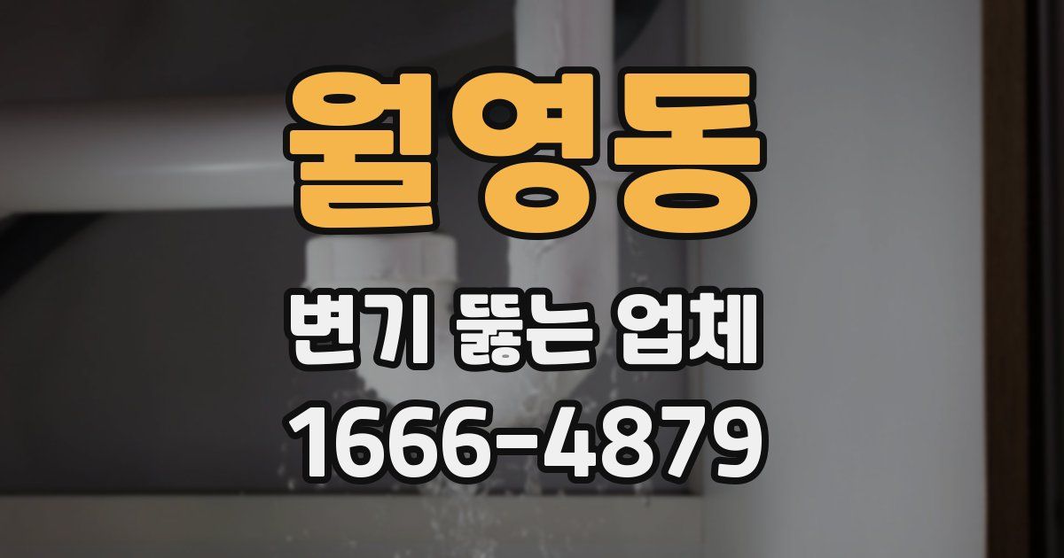 월영동 변기 뚫는 업체