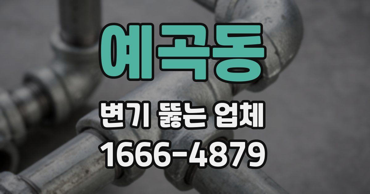 예곡동 변기 뚫는 업체