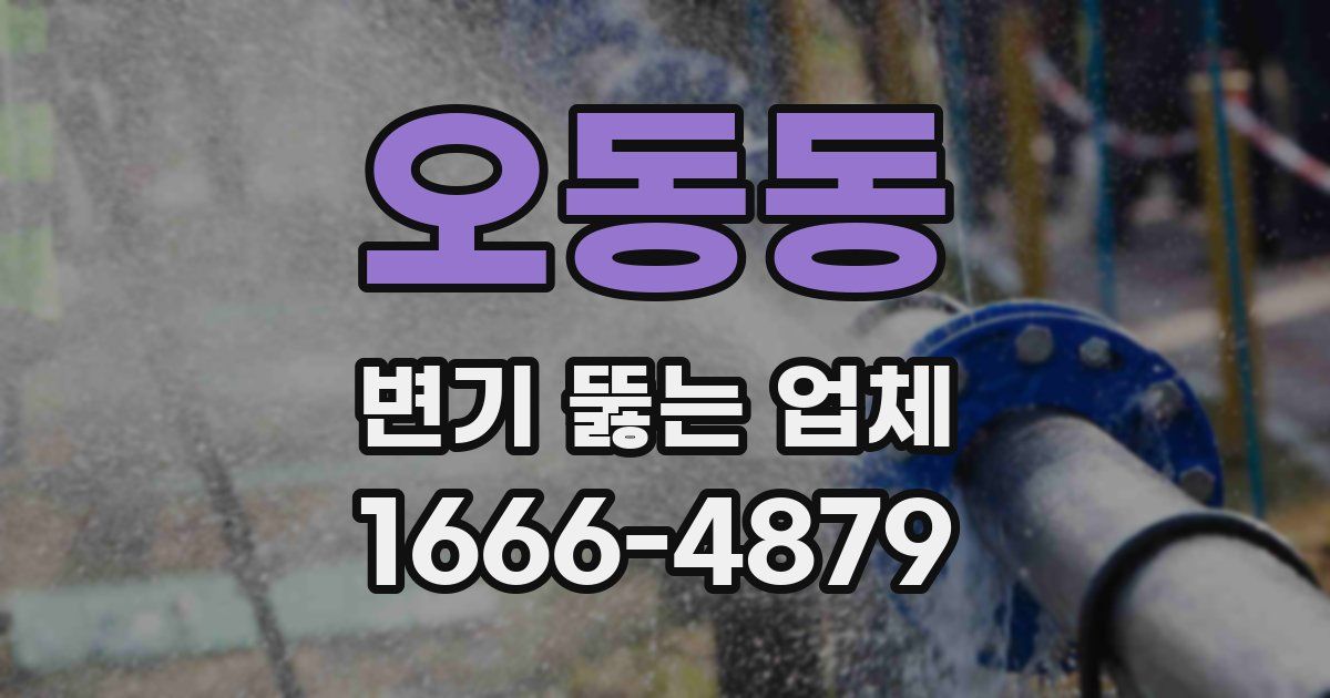 오동동 변기 뚫는 업체