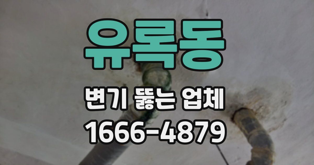 유록동 변기 뚫는 업체