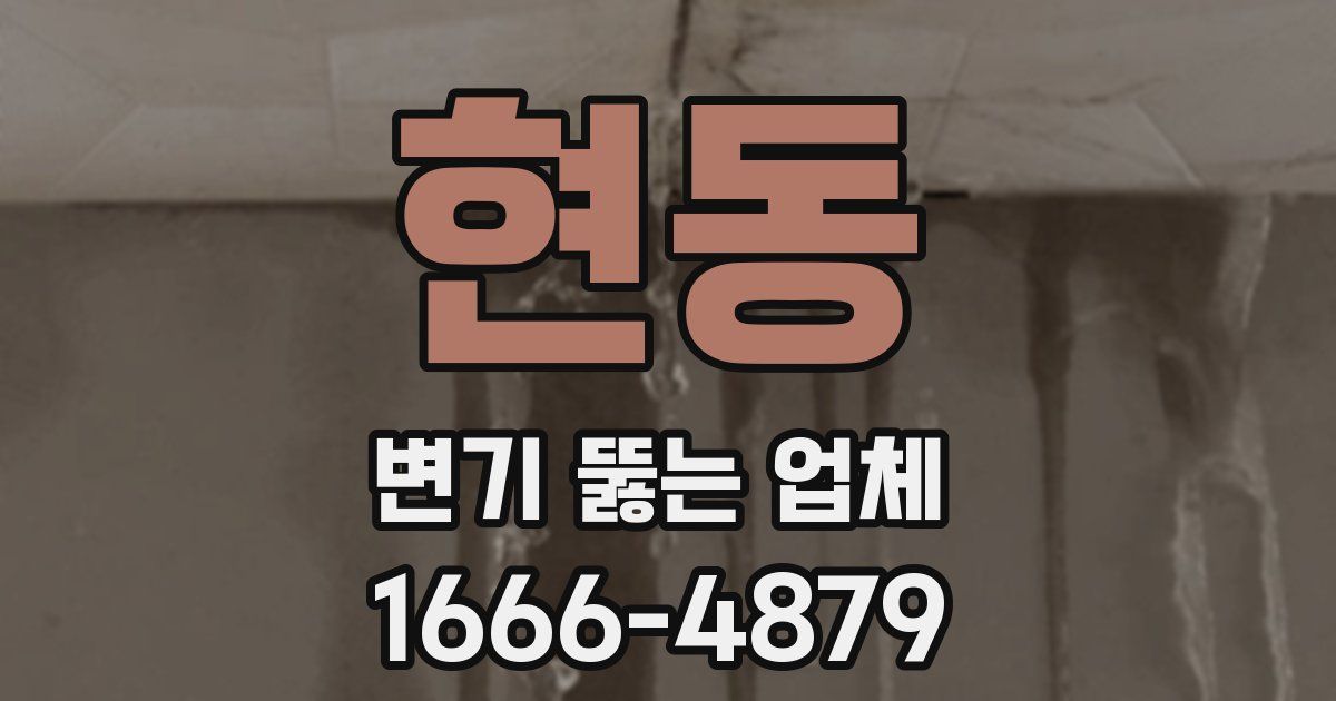 현동 변기 뚫는 업체