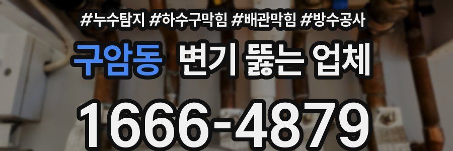 구암동 변기 뚫는 업체