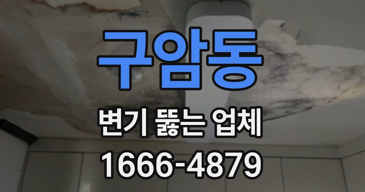 구암동 변기 뚫는 업체
